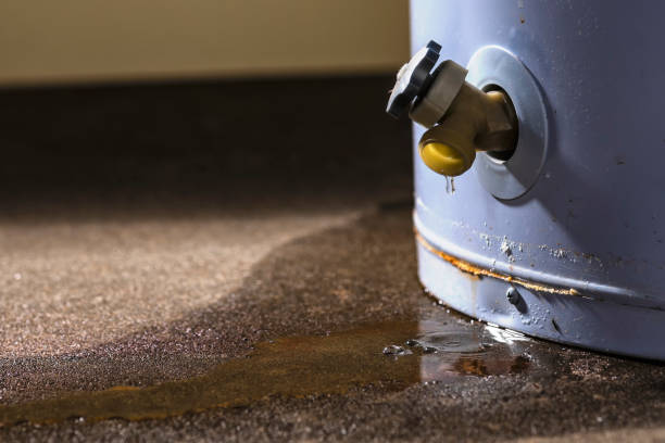 Best Flooded house restoration  in Pagosa Springs, CO