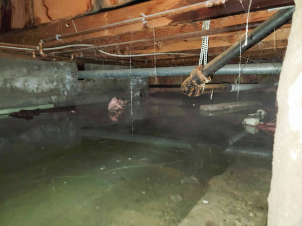 Trusted Pagosa Springs, CO Water damage restoration Experts