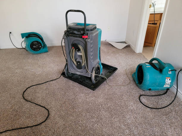 Best 24-hour water damage restoration  in Pagosa Springs, CO