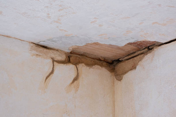 Best Emergency water damage restoration  in Pagosa Springs, CO