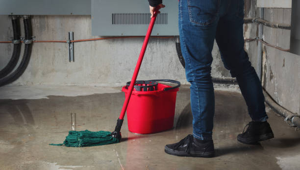 Best Flood damage cleanup  in Pagosa Springs, CO