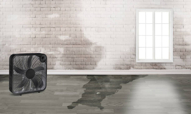 Water damage restoration insurance claims in Pagosa Springs, CO