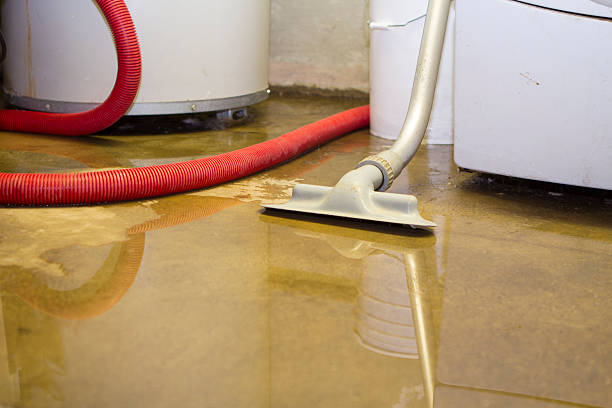 Reliable Pagosa Springs, CO Water damage restoration Solutions