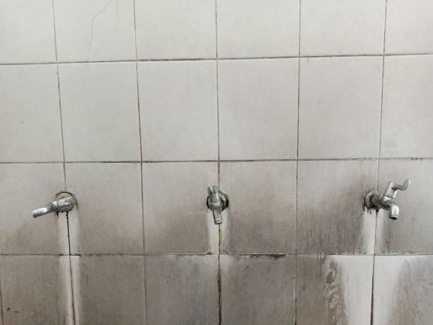 Best Fire Damage Restoration  in Pagosa Springs, CO