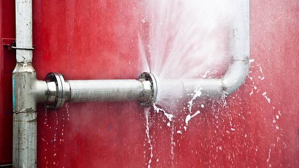 Best Sewage cleanup and water damage restoration  in Pagosa Springs, CO