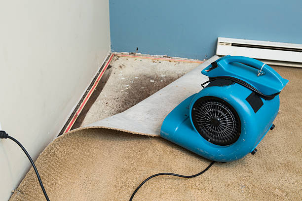  Pagosa Springs, CO Water damage restoration Pros
